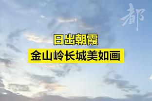 阿德巴约谈被吹恶犯：我什么都不知道 会吃罚单的&要向前看了